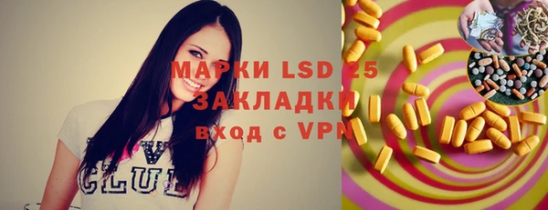 индика Александровское