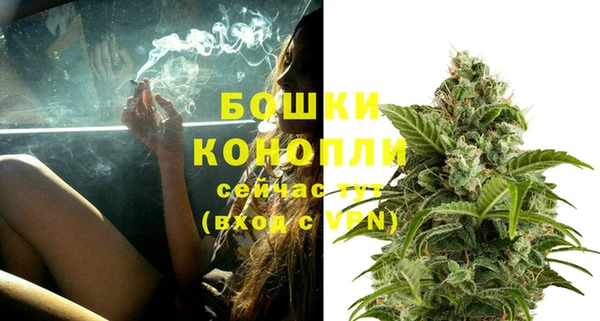 бошки Щигры