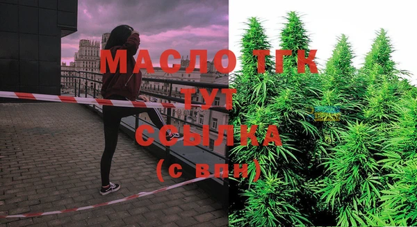 индика Александровское