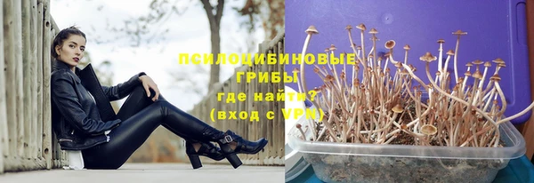 дмт Яранск