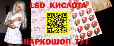 Альфа ПВП Гатчина