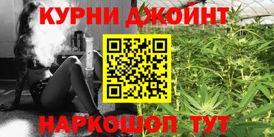 ALPHA PVP Гай