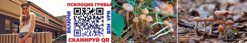 Галлюциногенные грибы GOLDEN TEACHER  mega ссылка  Изобильный  хочу наркоту 